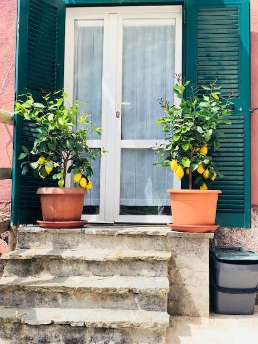 Amazing Flat At The Heart Of 5 Terre National Park Διαμέρισμα Βερνάτσα Εξωτερικό φωτογραφία