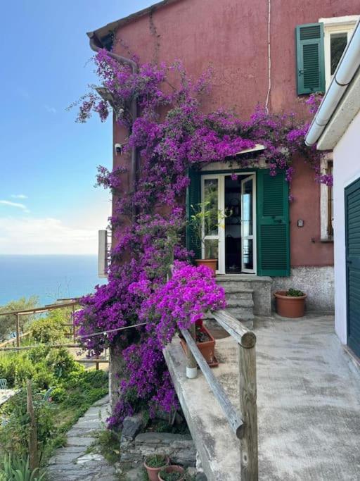 Amazing Flat At The Heart Of 5 Terre National Park Διαμέρισμα Βερνάτσα Εξωτερικό φωτογραφία